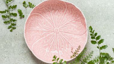 plating-instructions-image